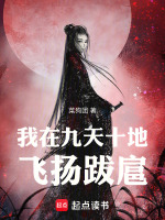 小说《/data/image/8312.jpg》封面