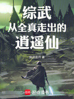 小说《/data/image/8701.jpg》封面