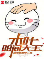 小说《/data/image/8737.jpg》封面