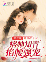 小说《/data/image/8805.jpg》封面