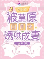 小说《/data/image/9221.jpg》封面