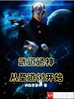 小说《/data/image/9447.jpg》封面