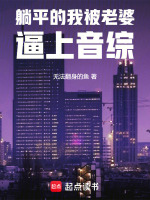 小说《/data/image/9455.jpg》封面