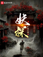 小说《/data/image/965.jpg》封面